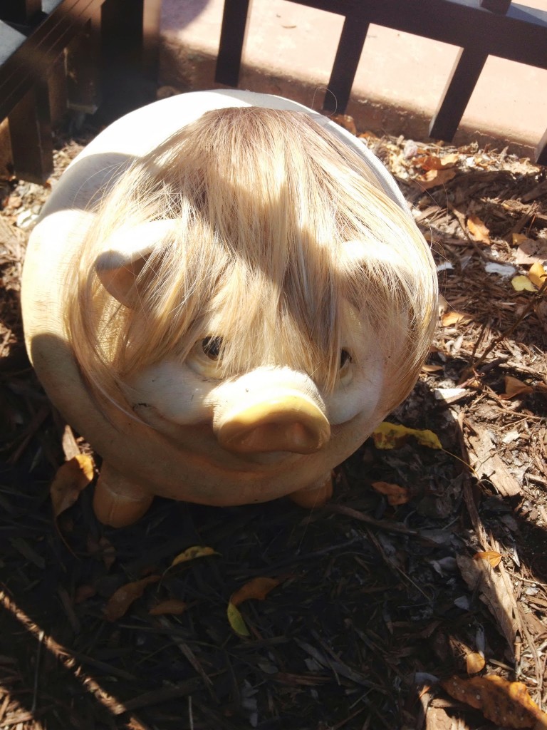 Pig in a wig Pig in a wig